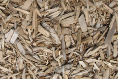 biomass boilers Gwalchmai